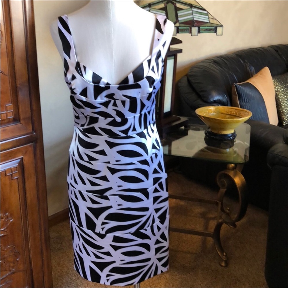 Stunning WHBM Dress